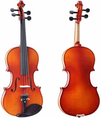 Cecilio Left-Handed Violin 4/4 (Full Size) CVN-320