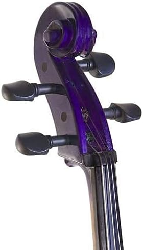 Cecilio Cello CCO-100 for Students 4/4 (Full Size) with Bow, Case, Strings