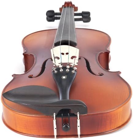 Cecilio CVA-500 Solidwood Ebony Fitted Viola