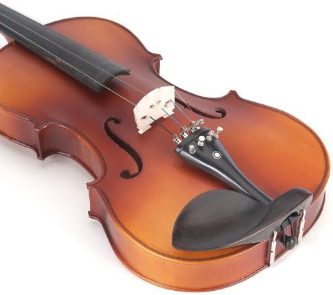 Cecilio CVA-500 Solidwood Ebony Fitted Viola