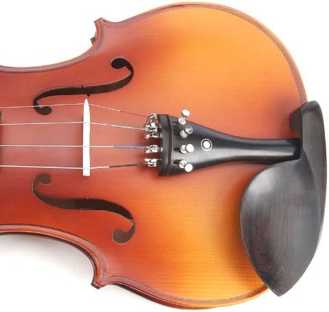 Cecilio CVA-500 Solidwood Ebony Fitted Viola