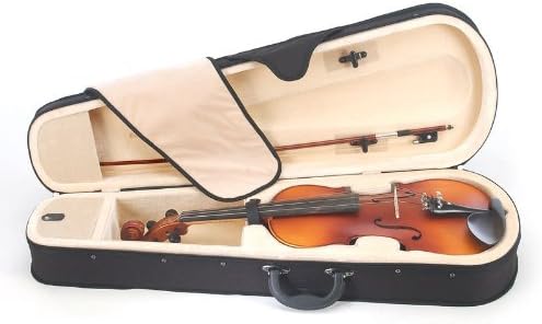 Cecilio CVA-500 Solidwood Ebony Fitted Viola